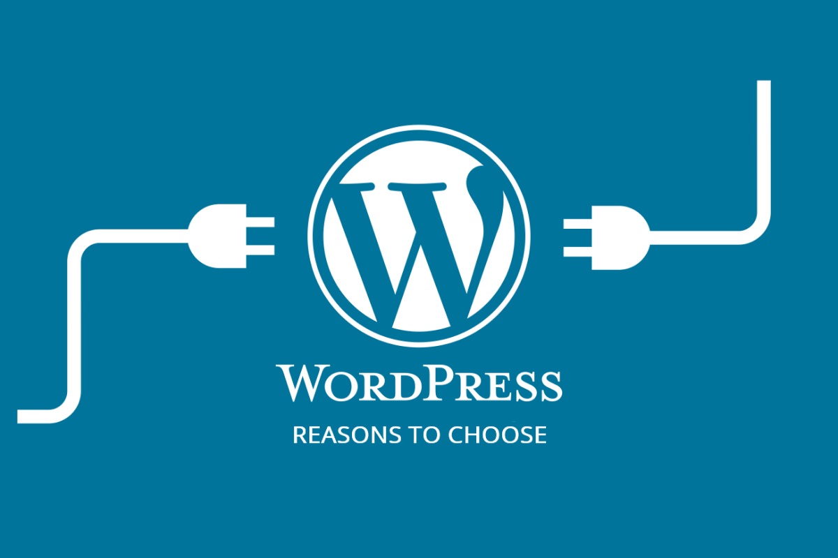 Why you should choose WordPress for Web Development